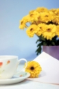 노란색 꽃과 커피잔 템플릿