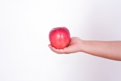 사과 들고 있는 손 템플릿