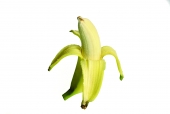바나나 템플릿