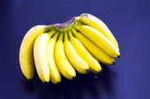 바나나 템플릿