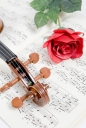 바이올린과 악보 템플릿