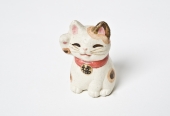 일본 복고양이 템플릿