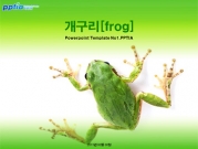 개구리[frog] 템플릿