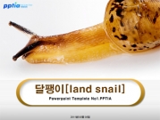 달팽이[land snail] 템플릿