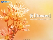 꽃[flower] 템플릿