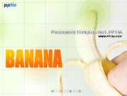 바나나(Banana) 템플릿